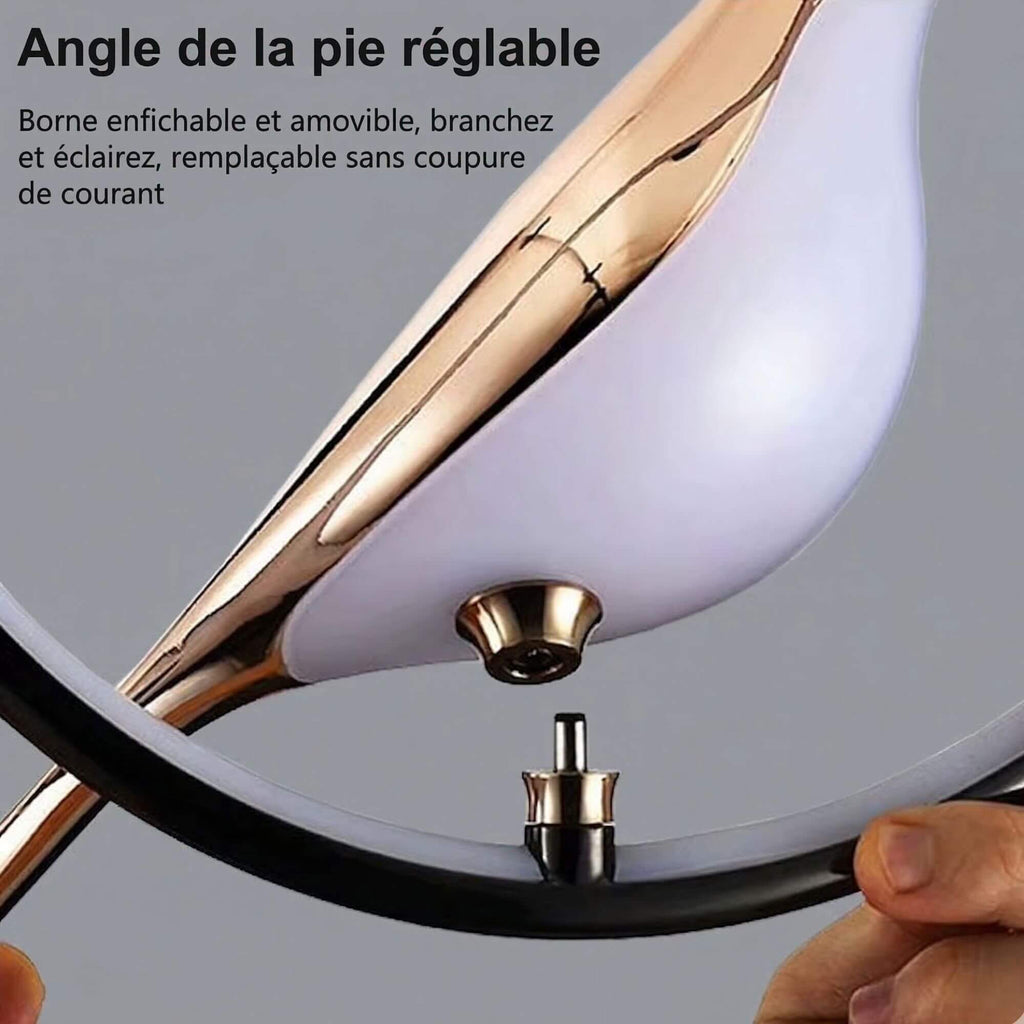 Suspension  Oiseau or instructions